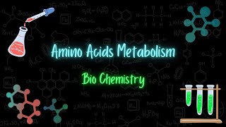 Amino Acids Metabolism  استقلاب الحموض الأمينية  Bio chemistry  تعلم بالعربي [upl. by Annayrb801]