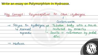 Write an essay on Polymorphism in Hydrozoa [upl. by Enyaz]