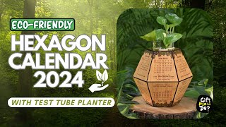 Eco Friendly Calendar for 2024 with Test Tube Planter  Wooden Hexagon Calendar 2024 [upl. by Gnem]