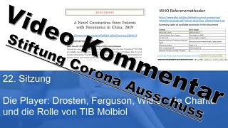 Ein Video Kommentar zur 22 Sitzung des Stiftung Corona Ausschusses [upl. by Aicirtel]