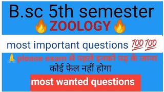 Bsc zoology 5th semester most important questions most wanted questions 💯💯💯💯💯 [upl. by Bander]