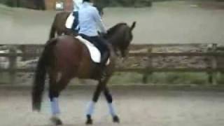 How to Ride the Elementary 59 Dressage Test Part 1  HorseandRider UK [upl. by Quackenbush980]