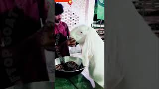 Pashu ko mota tagda gol matol rooftop farming GOAT pets shorts [upl. by Leiuqeze]