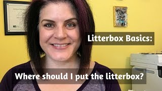 Litterbox Basics Where should I put my cats litterbox [upl. by Publius66]