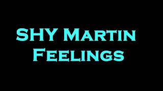 SHY Martin  Feelings InstrumentalKaraoke [upl. by Theron]