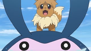 Eevee stranded at sea  Pokémon the Series Sun amp Moon—Ultra Legends  Short [upl. by Edmonda195]