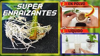 ⚠️⚠️ SuPeR EnRaIZaNTe NaTuRaL l 2 FoRMaS DE HaCeRLo Sólido y Líquido  Hormonas enraizantes [upl. by Eelibuj784]