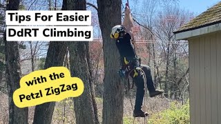 DdRT with Petzl ZigZag  Foot Ascender  Arborist Tree Climbing Techniques [upl. by Ardnola]