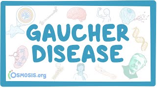 Gaucher disease  causes symptoms diagnosis treatment pathology [upl. by Alleul]