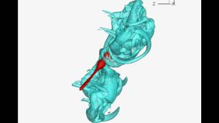 Tecplot 360 Simulation Example Dragonfly Flight Physics I [upl. by Muraida950]