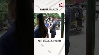 Aso sinaktan at binato ng kaniyang amo shorts  24Oras [upl. by Golda]