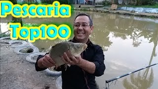 Pescaria em pesqueiro videos  Pescaria de Tilápia Pial e Carpa  Recanto dos Pescadores [upl. by Ahsiele11]