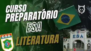 QUINHENTISMO  LITERATURA PARA A PROVA DA ESA [upl. by Bajaj]