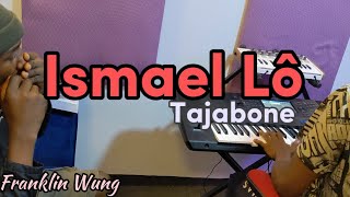 Ismael Lô  Tajabone Harmonica amp piano Cover with Franklin Wung [upl. by Ormsby]