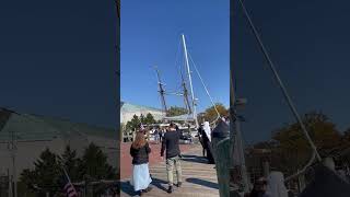 Annapolis Maryland marina harbor sailboats sunny October day 101824 sailing sailing marina [upl. by Delfeena]