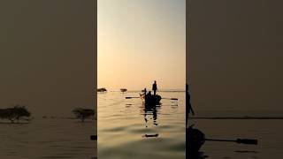 Maharashtra’s Wetland Paradise  Devine boat ride  Bhigwan Bird Sanctuary Maharashtra hidden gem [upl. by Neillij]