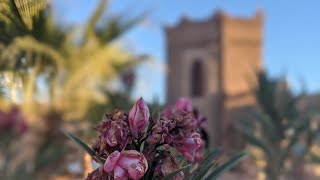 Merzouga Desert [upl. by Netram]