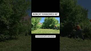 couldn’t even see the van 😳 overgrown mowing bobcat commercialmower timelapse satisfying [upl. by Nolyak]