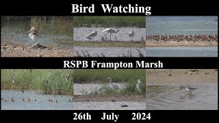 RSPB Frampton Marsh  July 2024 [upl. by Leahcimdivad]