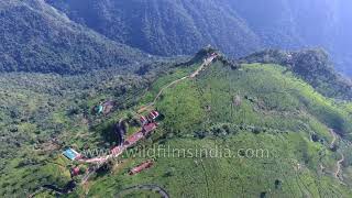 Tea plantation in the Nilgiris aerial journey [upl. by Nirel]