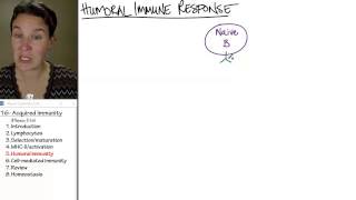 Acquired Immunity 5 Humoral [upl. by Ravi680]