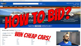 How to Bid on Cars at Copart  What Broker I Use [upl. by Llenra]