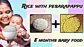 Rice with pesarapappu 8 months baby food Lillyliavlogs [upl. by Yllil]