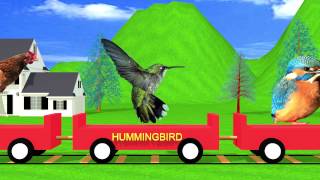 Bird Train Easy Learning for Kids  HD Animation [upl. by Sutphin552]