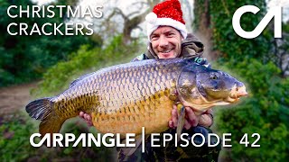 CRAZY WINTER CARP FISHING  CARP ANGLE 42 [upl. by Bellamy]