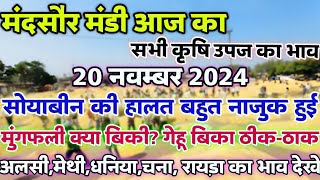 मंदसौर मंडी आज का सभी कृषि उपज का भाव 20 नवंबर 2024  Mandsaur Mandi Rate Today mandsaurmandibhav [upl. by Junia]