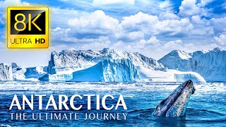 ANTARCTICA The Ultimate Journey in 8K ULTRA HD [upl. by Pappas372]