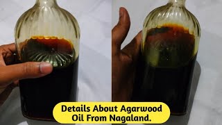 Video Of Agarwood Oil Nagaland  Nagaland Agarwood Oil Full Video amp Details agarwoodblogger oudoil [upl. by Portwine]