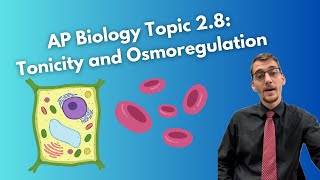 28 Tonicity and Osmoregulation Part I  AP Biology [upl. by Elexa]