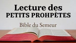 LES PETITS PROPHÈTES Bible du Semeur [upl. by Nylyoj]