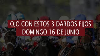 3 FIJOS ADELANTADOS PARA LA RINCONADA DOMINGO 16 DE JUNIO 2024🎯 [upl. by Rosy734]