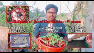 3 types of seed Germination process  দানা থেকে অঙ্কূর বের করার ৩টি পদ্ধতি [upl. by Avirt962]