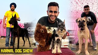 Biggest Dog show of Haryana Karnal Dog show😱😍 [upl. by Iatnwahs]