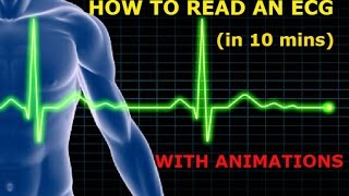 HOW TO READ AN ECG WITH ANIMATIONSin 10 mins [upl. by Enial]