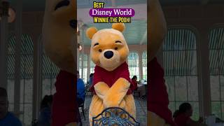 Best Winnie the Pooh Disney World [upl. by Hsiekal]