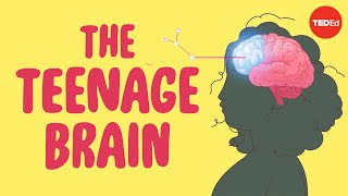 What sex ed doesn’t tell you about your brain  Shannon Odell [upl. by Oringas155]