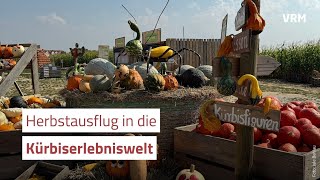 Kürbiswelt erweitert Spaß im Maislabyrinth Wallau [upl. by Easter961]