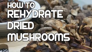 How to Rehydrate Dried Mushrooms  ReHydrating Reconstitute  Best Mushroom Recipes [upl. by Memory237]