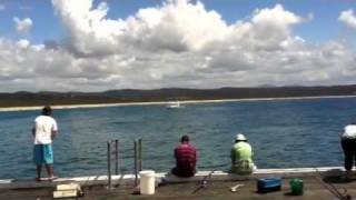 Tathra wharf [upl. by Sherwin]