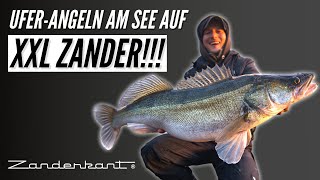 XXL Zander vom Ufer  Angeln im flachen See [upl. by Jacob]