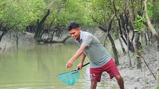 today we are catching fish and crabs in Sundarban jungle [upl. by Isacco]