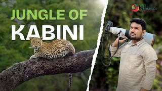 Kabinis Jungle Expedition A MustWatch [upl. by Ceporah]