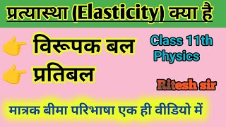 Pratyastha class 11 physics  Elasticity  Ritesh sir [upl. by Cinnamon]