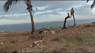 HURACÁN BERYL CASI DESTRUYE EL MALECÓN DE SANTO DOMINGO [upl. by Arved837]