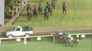 STREET SENSE wins The Hong Kong Jockey Club Trophy Div2 [upl. by Sherrer]