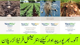 Boost Potato Yields with This Fertilizer Plan  Cyber Agri Extension  آلو۔ بھرپور فرٹیلائزر پلان [upl. by Farris]